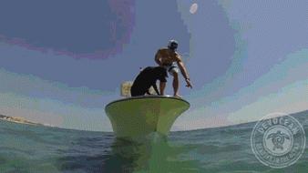 1分钟剥鸡蛋视频,1分钟快速剥鸡蛋方法