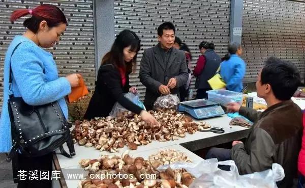 东溪古镇街景,苍溪县古镇全景图