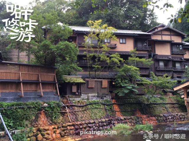 熊本熊游玩,日本熊本熊旅游