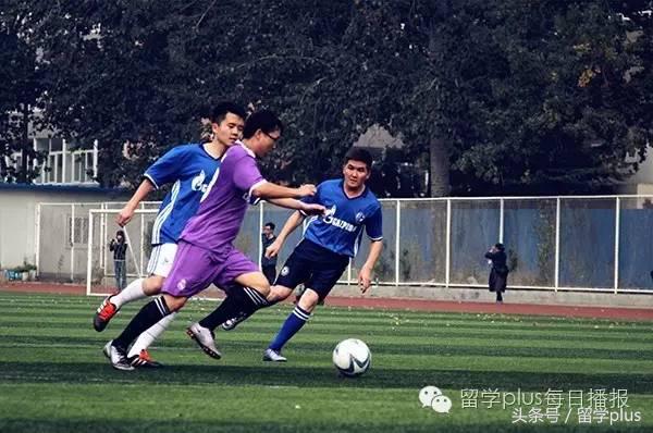 北京语言大学比赛,北京语言大学篮球赛