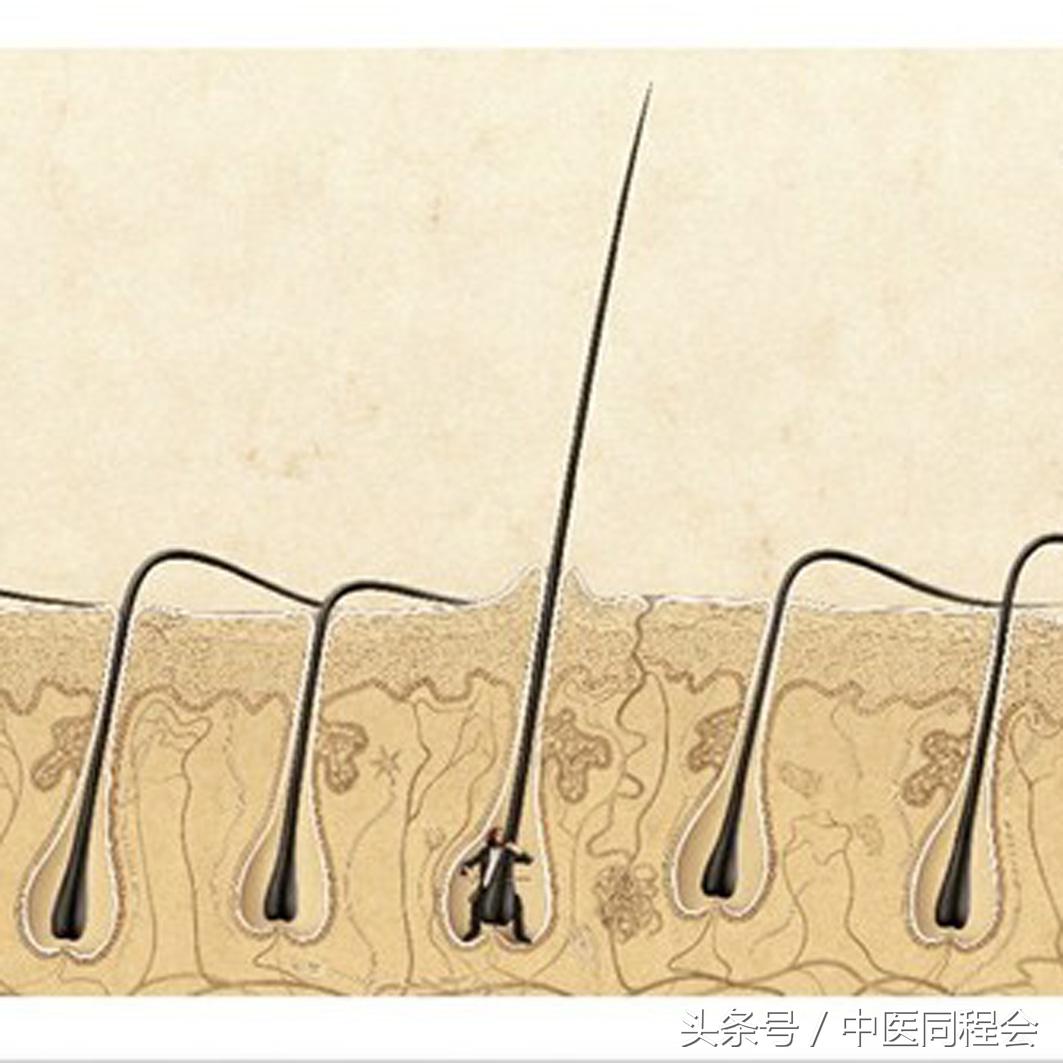 万圣节｜看中医怎么与“鬼”混