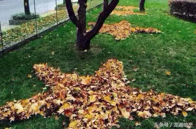 没有物管的老小区该找谁,没有物业的老小区归谁管