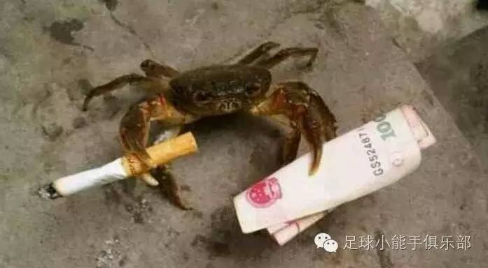 梅西携阿根廷队谢场,梅西携三叉戟破门