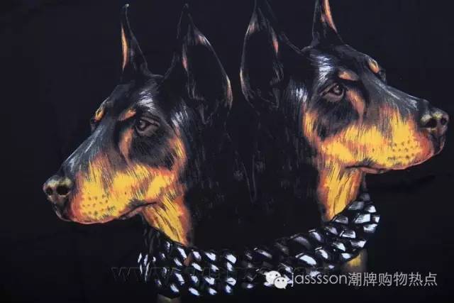 复合动物进化论,达尔文动物进化论观点