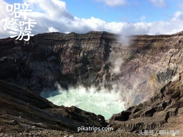 熊本熊游玩,日本熊本熊旅游