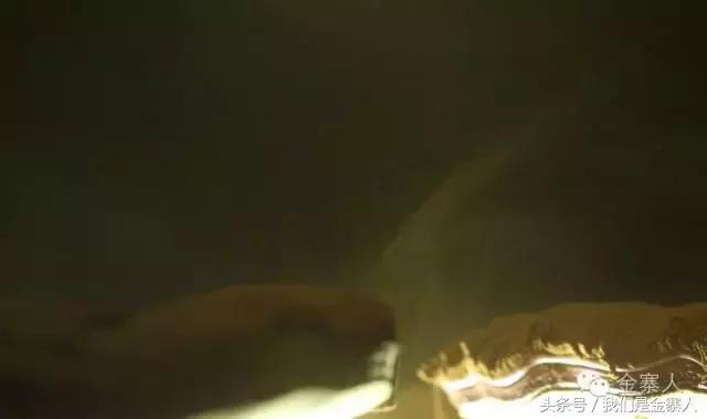 关于灵芝孢子粉新闻视频,央视报道灵芝孢子粉的功效