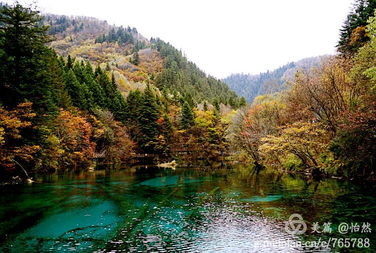 九寨沟让人失语的美丽童话世界,九寨沟有没有童话世界的景点