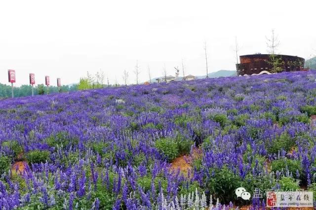 盐亭之所以叫盐亭，居然是因为