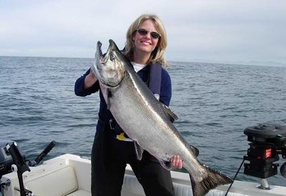 大马哈鱼为什么要洄游,大马哈鱼洄游的原因