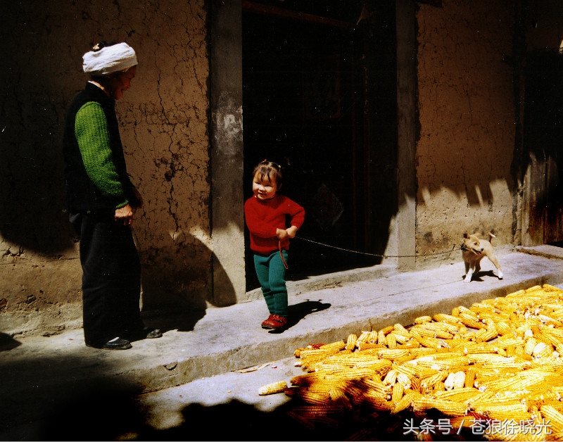 赶山狗视频,民间怪谈狗的故事