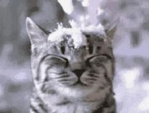 别再说润唇膏没用，不是你不会涂，而是你不会选！