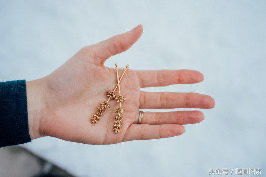 身上没有鹿角、花草算什么森女？仙气飘飘饰品让你变身森林系女神