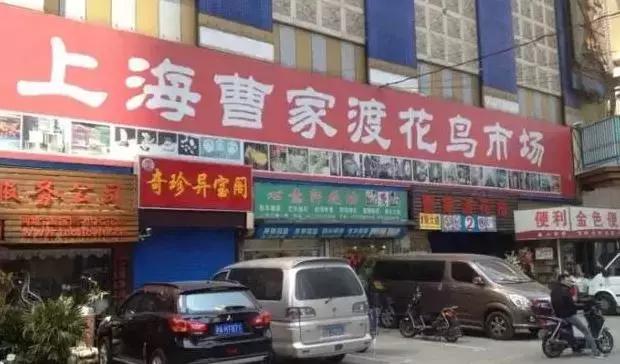 谁做的这本上海生活指南？老结棍了！走遍上海不用愁！