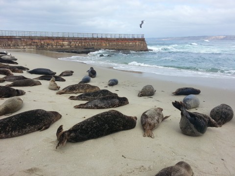 福岛核事件是怎么回事,福岛事件