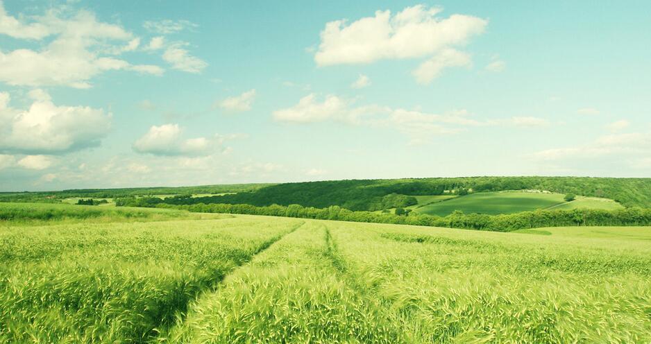 当下社会环境自主创业，有哪些行业选择观？