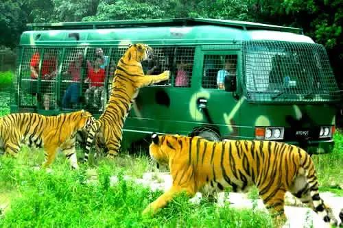 地铁7、9号线正式开通啦！最新最全出行攻略请收好！