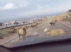 鑰佹箍瀹炲喌瓒崇悆鎼炵瑧瑙嗛,鑰佹箍瑙ｈ瓒崇悆鎼炵瑧瑙嗛