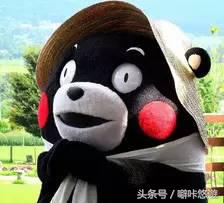 熊本熊游玩,日本熊本熊旅游