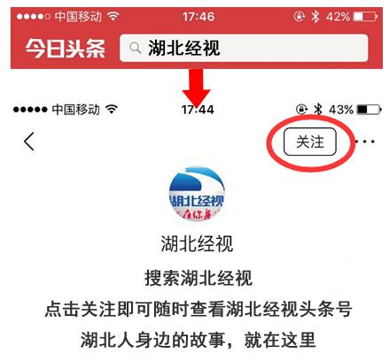 国足里皮在世界杯中的发言,国足里皮谈年薪