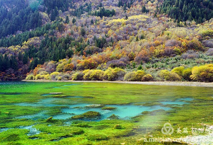 九寨沟让人失语的美丽童话世界,九寨沟有没有童话世界的景点