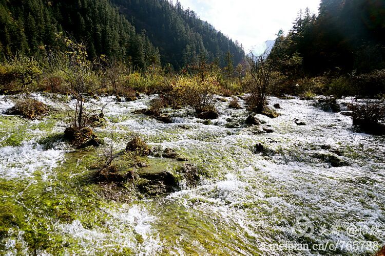 九寨沟让人失语的美丽童话世界,九寨沟有没有童话世界的景点
