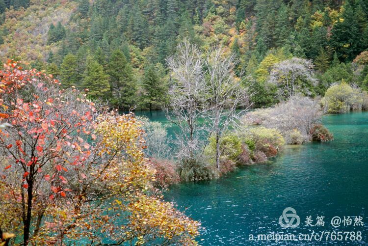 九寨沟让人失语的美丽童话世界,九寨沟有没有童话世界的景点