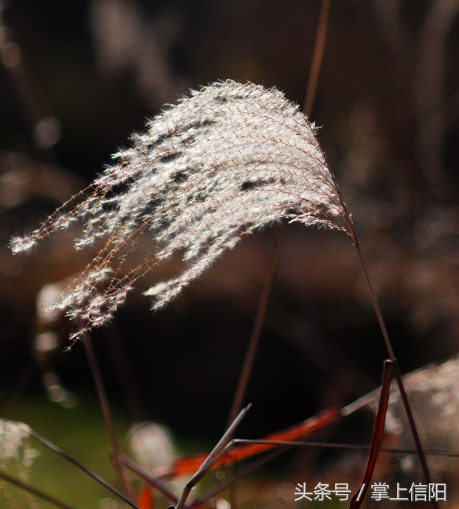 信阳老照片回忆图,30年前信阳老照片