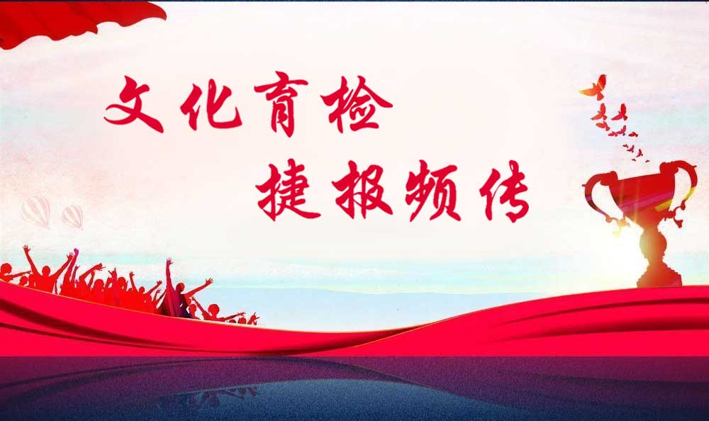 鏂囧寲鑲茶鎻愬崌宸ヤ綔璐ㄦ晥,鏂囧寲鑲茶鎬荤粨