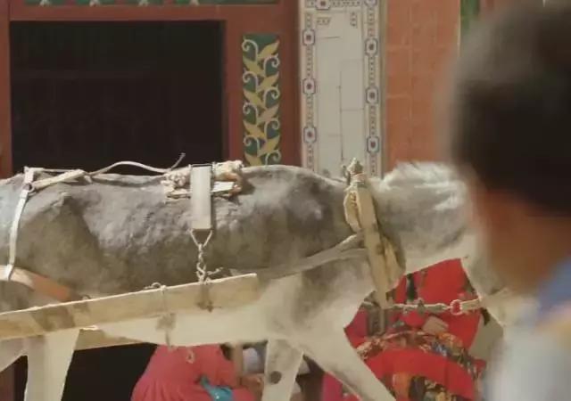 足球体育精神感人瞬间,什么是真正的体育精神作文