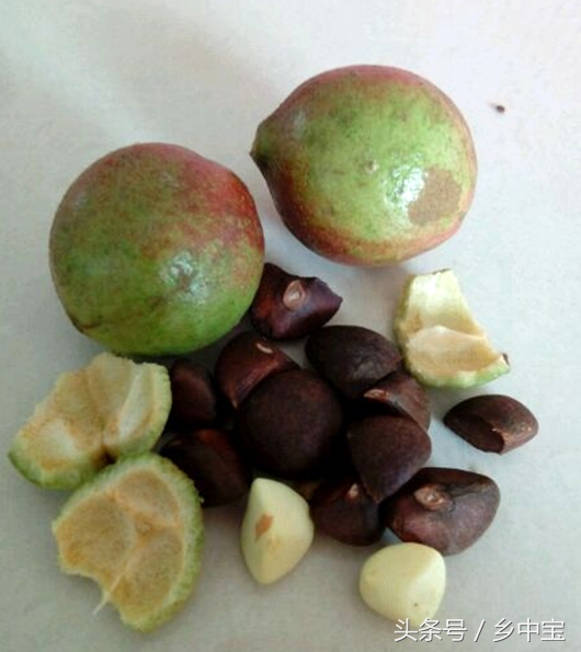 古老压榨山茶油,纯天然古法手工压榨山茶油