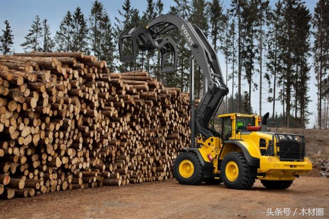美加锯材纠纷，将会直接影响加拿大的出口价格