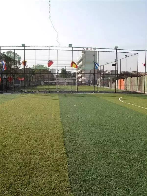 室内足球场射门,史上最精准的射门