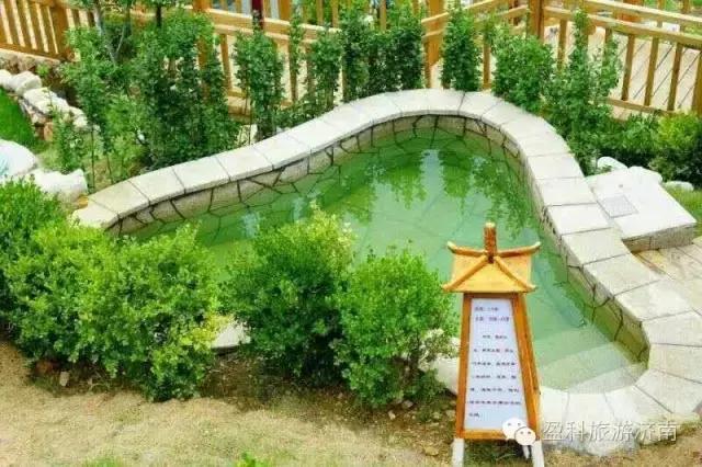 泰山天颐湖菊花节,游东湖公园菊花展