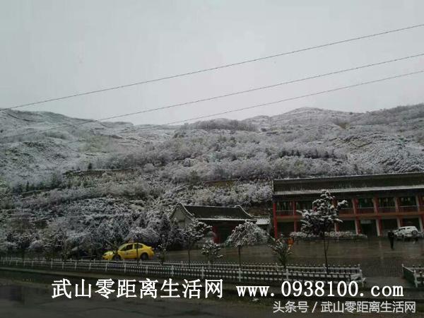 武山唯美雪景，一眼看到的不是寒冷，而是陶醉（图文/周海燕）
