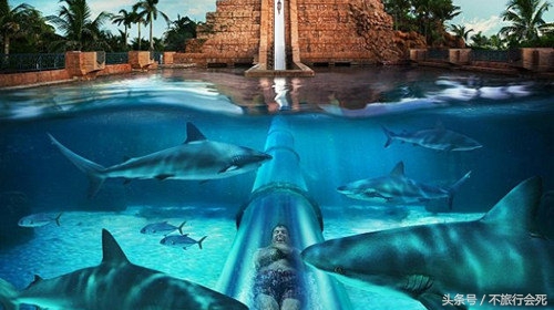 阿联酋旅游去哪个城市,阿联酋是旅游好去处吗为什么