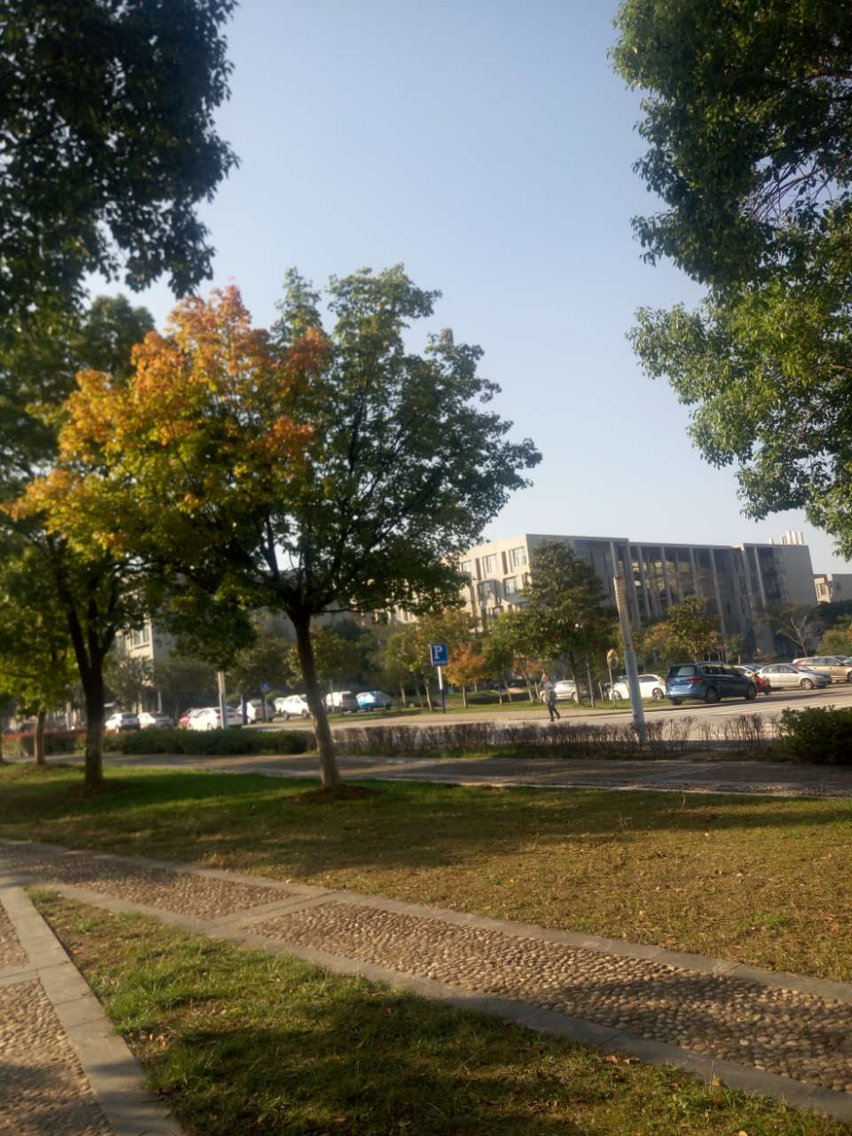 理工男跳啦啦操视频,啦啦操舞蹈视频理工男