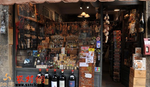 农村创业2024创业新风口,2020农村致富商机