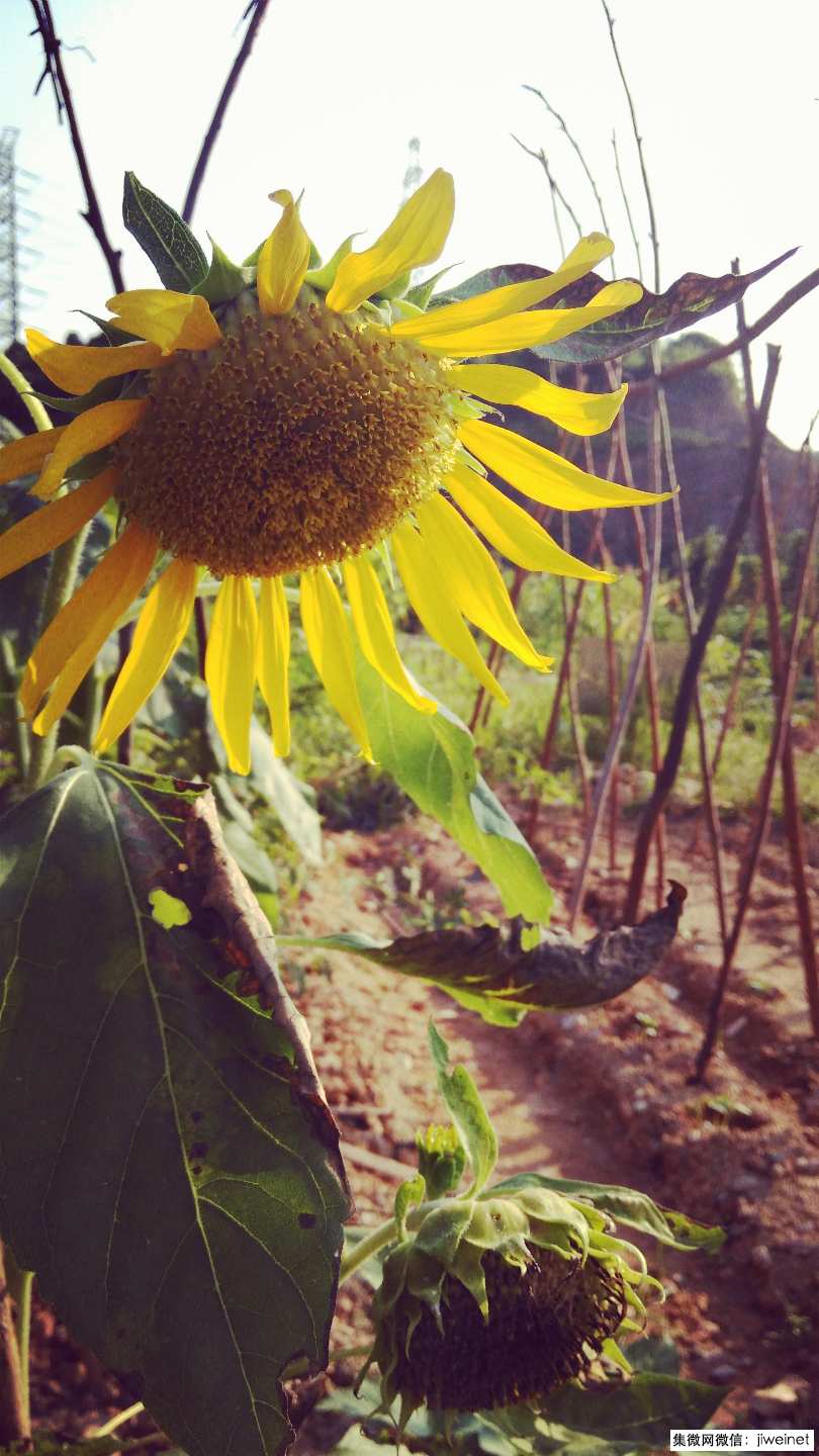 金立手机工厂现在状况,金立手机厂实拍