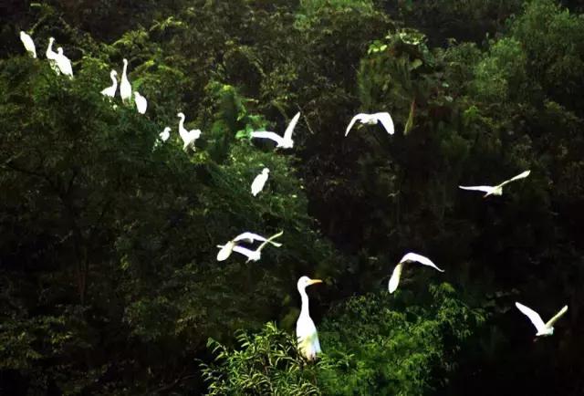 周末气温开始回升,周末天气转晴但温度低迷