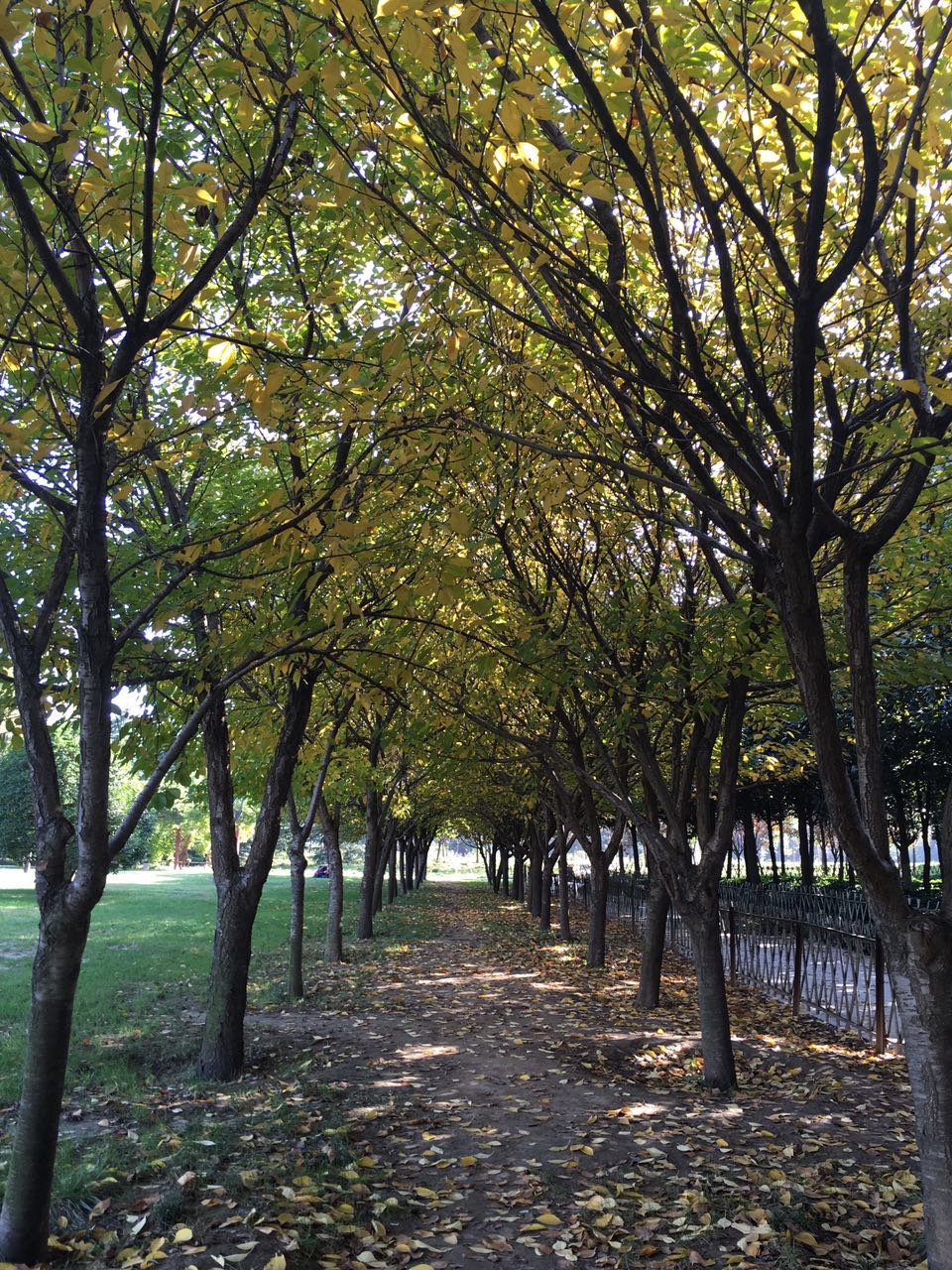 理工男跳啦啦操视频,啦啦操舞蹈视频理工男