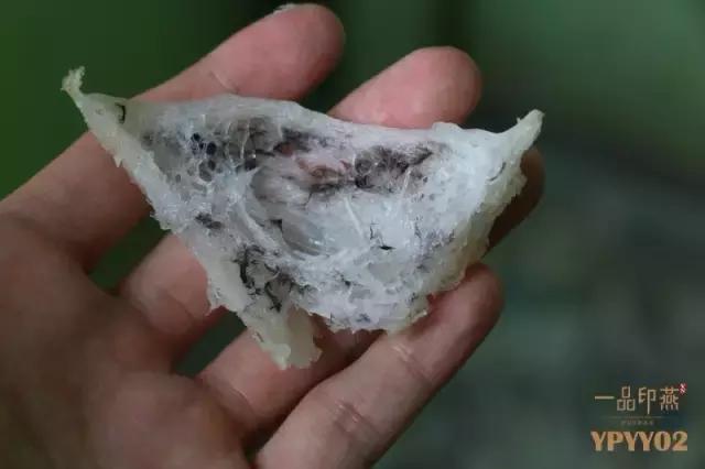 新鲜现炖燕窝店铺,附近的鲜炖燕窝