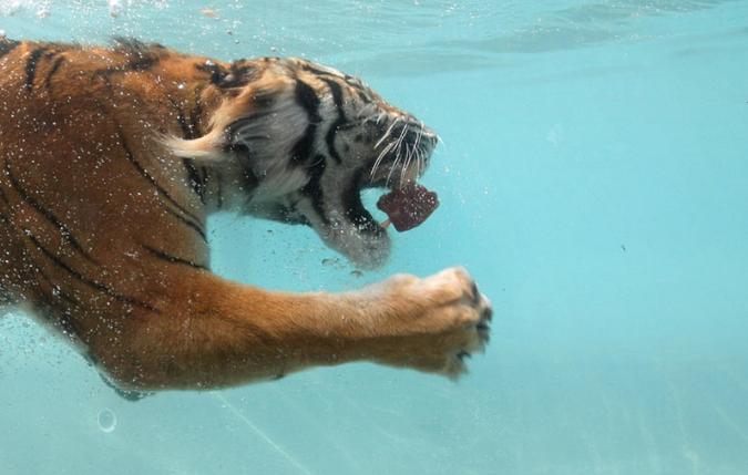 天冷了现在正是泡温泉的最佳时刻,天气逐渐变冷来泡澡