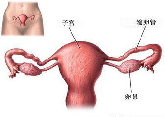 输卵管堵塞找个好的中医，不要随便找，谨慎不孕！