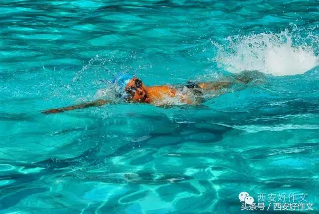 我是游泳小达人作文,我是游泳健将600字作文