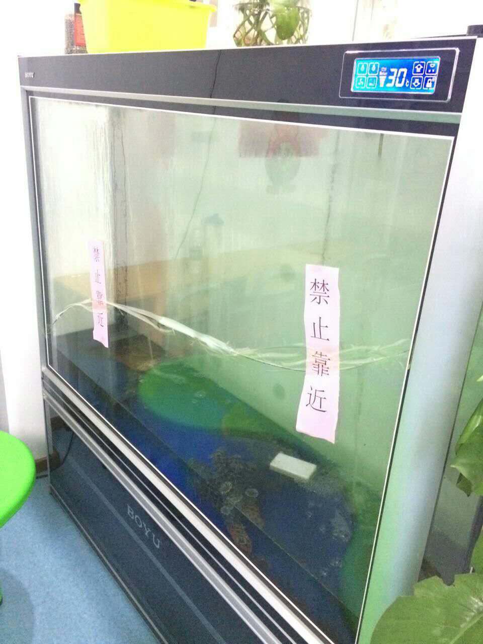 森森鱼缸底滤漏水,鱼缸漏水补胶教程
