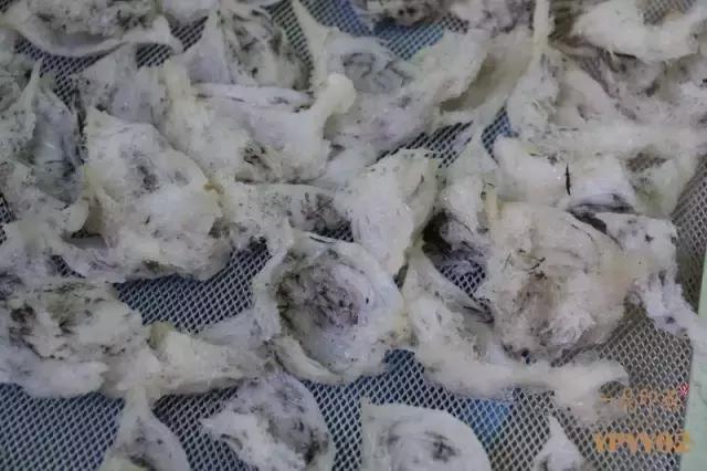 新鲜现炖燕窝店铺,附近的鲜炖燕窝