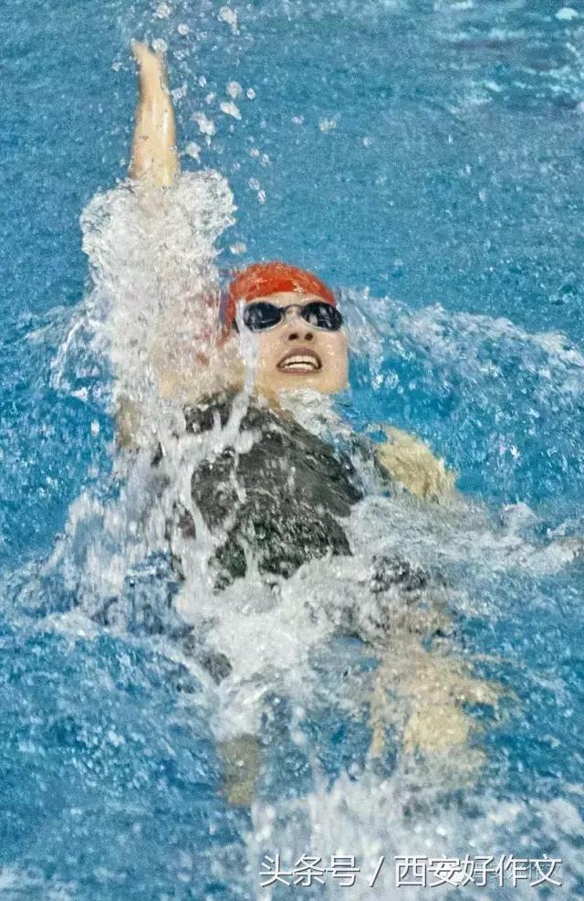 我是游泳小达人作文,我是游泳健将600字作文