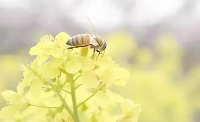关键时刻能救命的急救知识,关键时刻如何保命快来学学急救