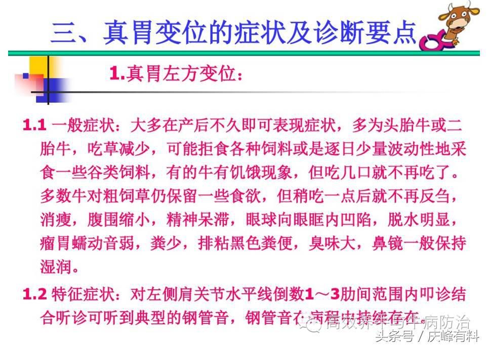 奶牛真胃扩张的症状治疗方法,奶牛皱胃左方变位治疗方法