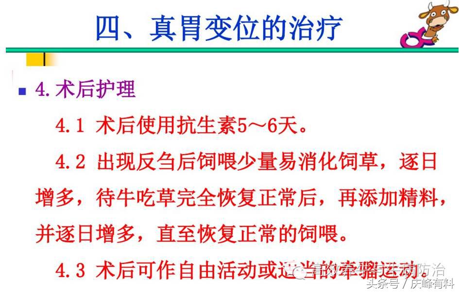 奶牛真胃扩张的症状治疗方法,奶牛皱胃左方变位治疗方法
